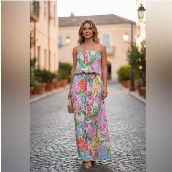 Lilly Pulitzer Nosey Posey maxi - Picture 1 of 8